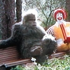 Meet your Posher, Robert